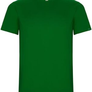 
                                                        Fern Green                                                    
