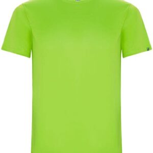 
                                                        Fluor Green                                                    