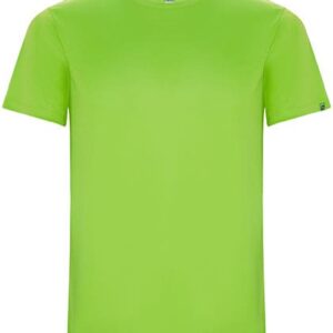 
                                                        Lime Green                                                    