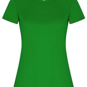 
                                                        Fern Green                                                    